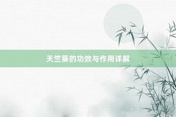 天竺葵的功效与作用详解